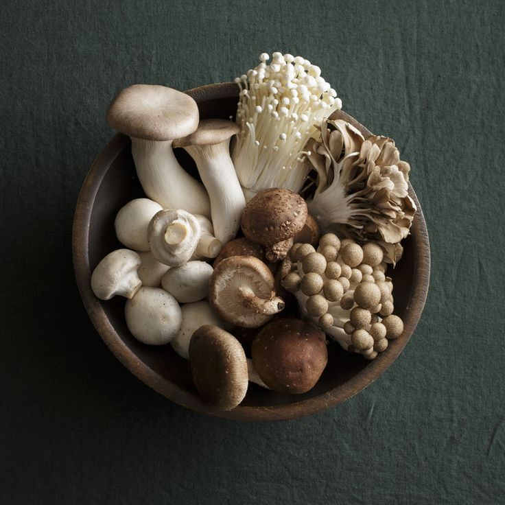 nấm tăng cường đề kháng