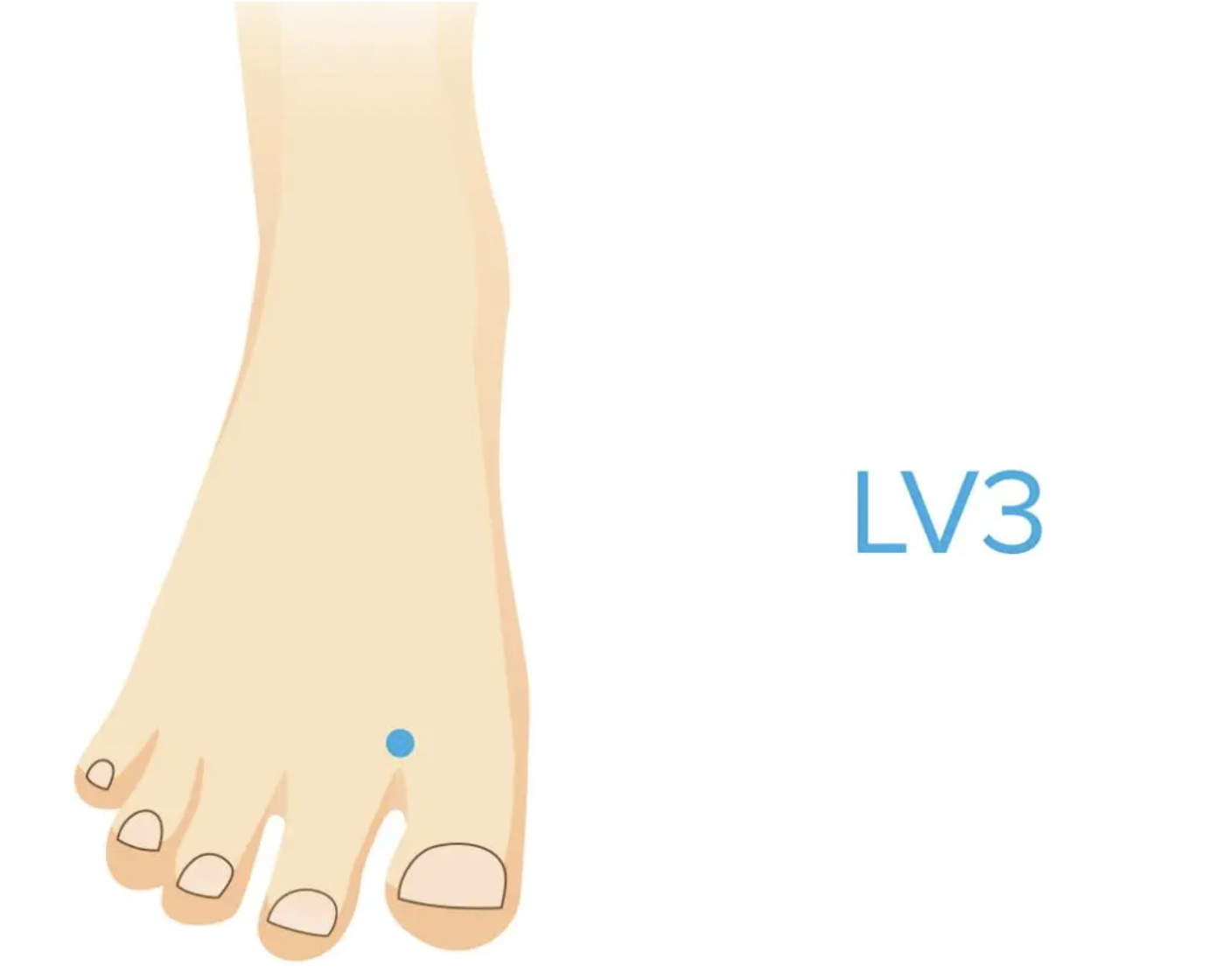 Huyệt LV3 giúp đi vào giấc ngủ