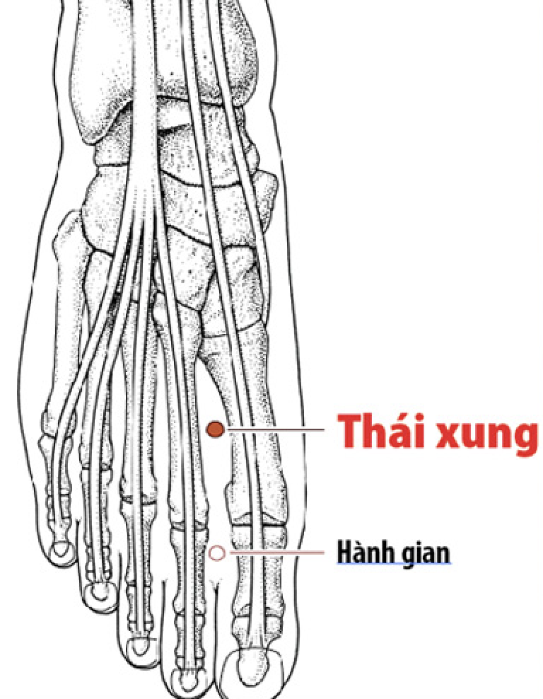 huyệt thái xung
