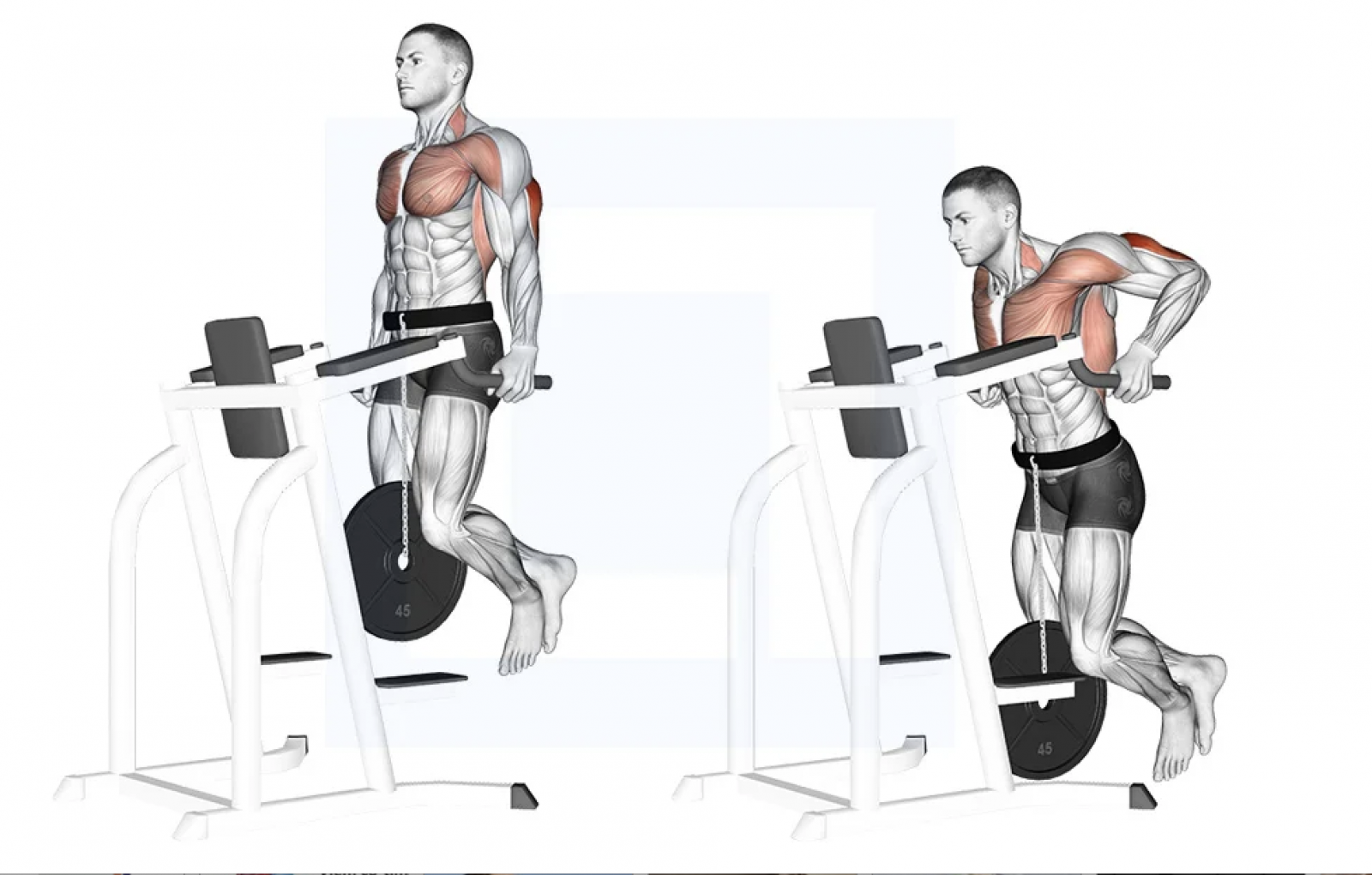 Triceps dips