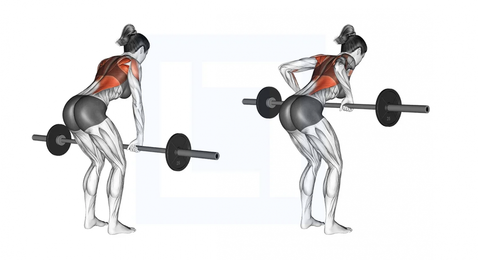 Bent-over row
