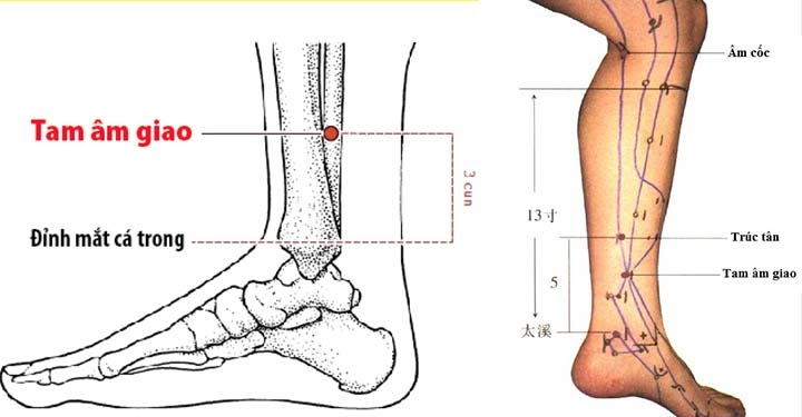 Huyệt tam âm giao
