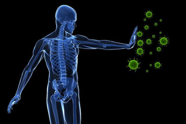 chế độ ăn uống ảnh hưởng hệ miễn dịch