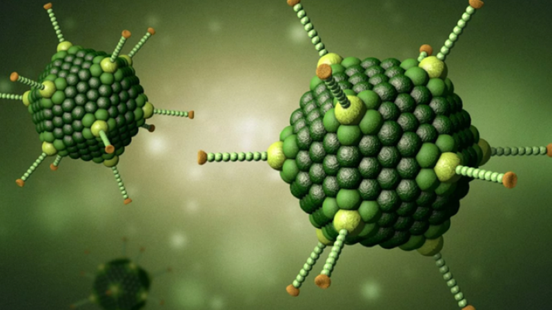 Virus gây nhiễm trùng đường hô hấp thường gặp như Adeno, Rhino, cúm mùa